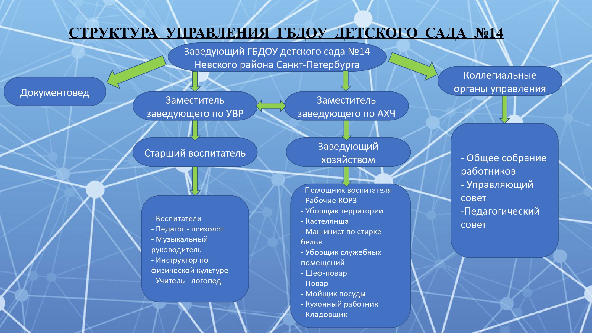 Государственное бюджетное дошкольное образовательное учреждение детский сад  № 14 Невского района Санкт-Петербурга - Структура и органы управления  образовательной организацией